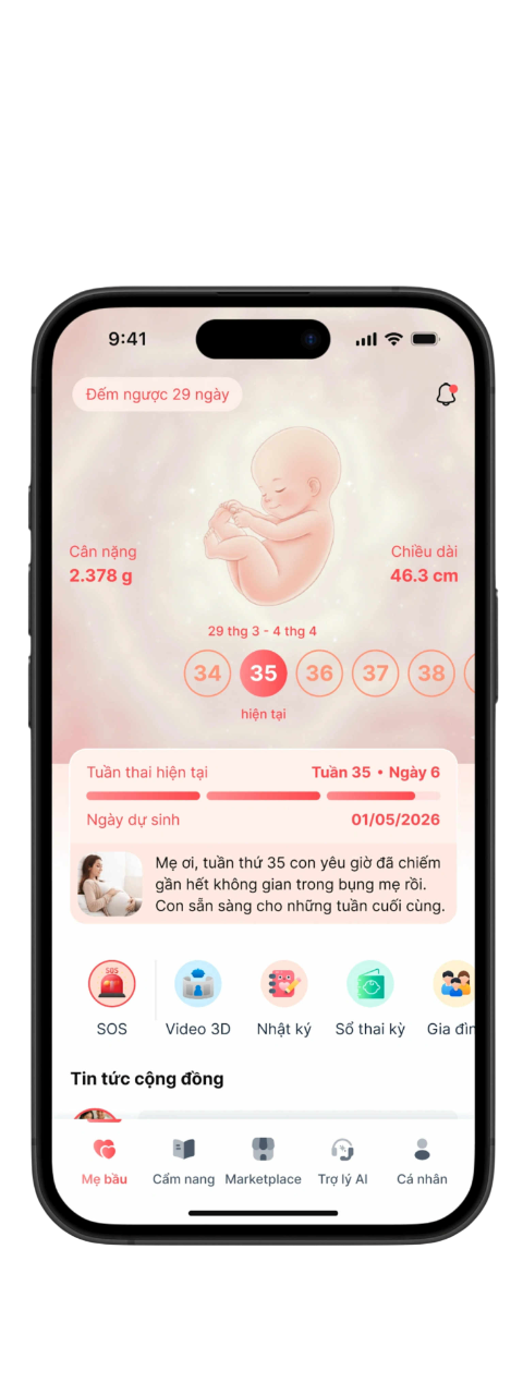 Theo dõi sức khỏe